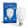 FOCO LED CANDELA LUZ FRIA HIGH POWER 30W 6803