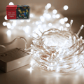 LUCES DECORATIVAS 100L 10M INDOOR/OUTD BLANCA NV49