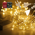 LUCES DECORATIVAS 100L 10M EXTENSIBLE CALIDA NV46