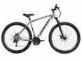 BICICLETA RYDETECH 300GT ACERO RODADO 29 TALLE M - GRIS/NEGRO